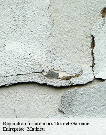 reparation-fissure-murs
